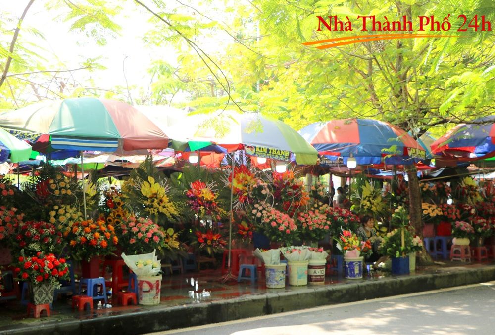 Tuyển dụng Hải Phòng (2)